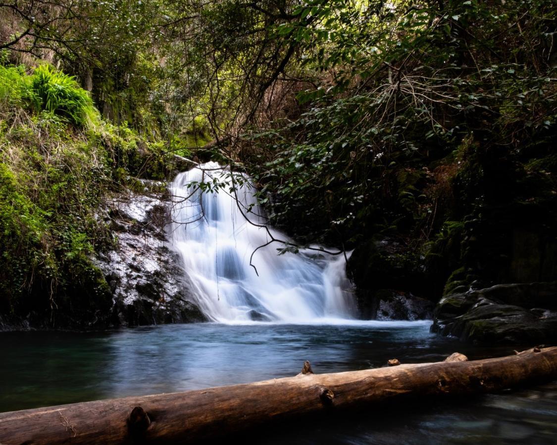 Refugio D'Aldeia Da Serra Seia Exteriör bild